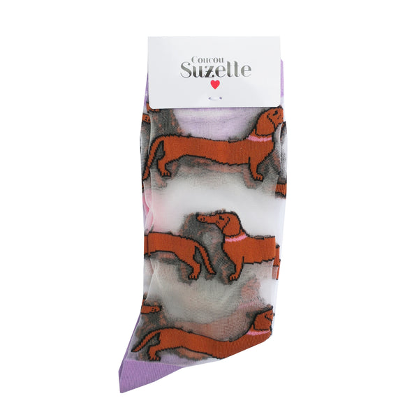 Chaussettes Transparentes Teckel
