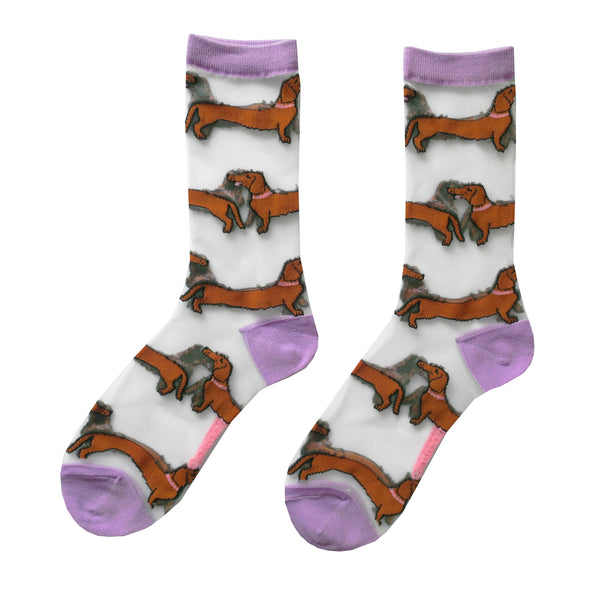 Chaussettes Transparentes Teckel