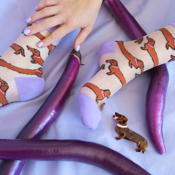 Chaussettes Transparentes Teckel