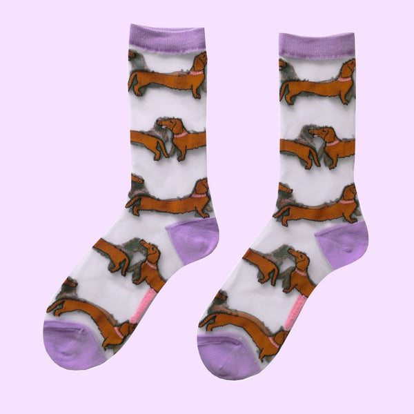 Chaussettes Transparentes Teckel
