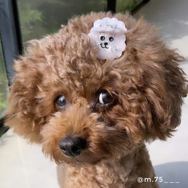 Mini-pince à cheveux Bichon