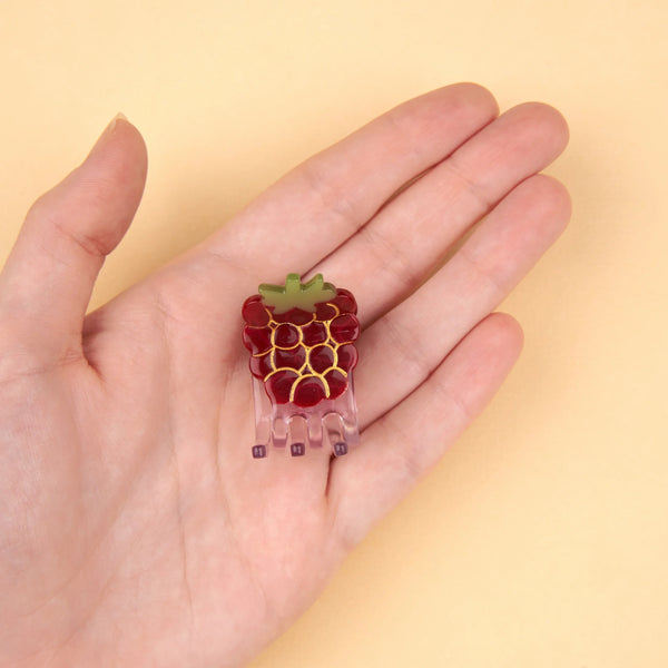 Mini-pince à cheveux Framboise