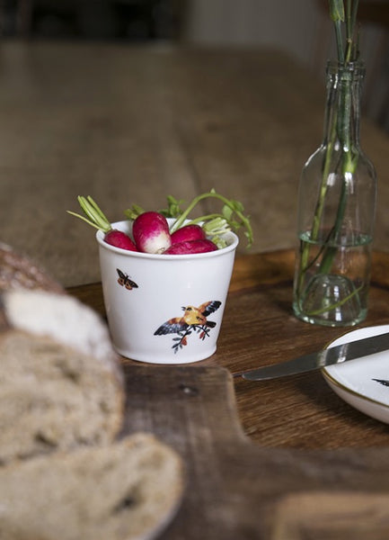 Timbale à Café Orsini