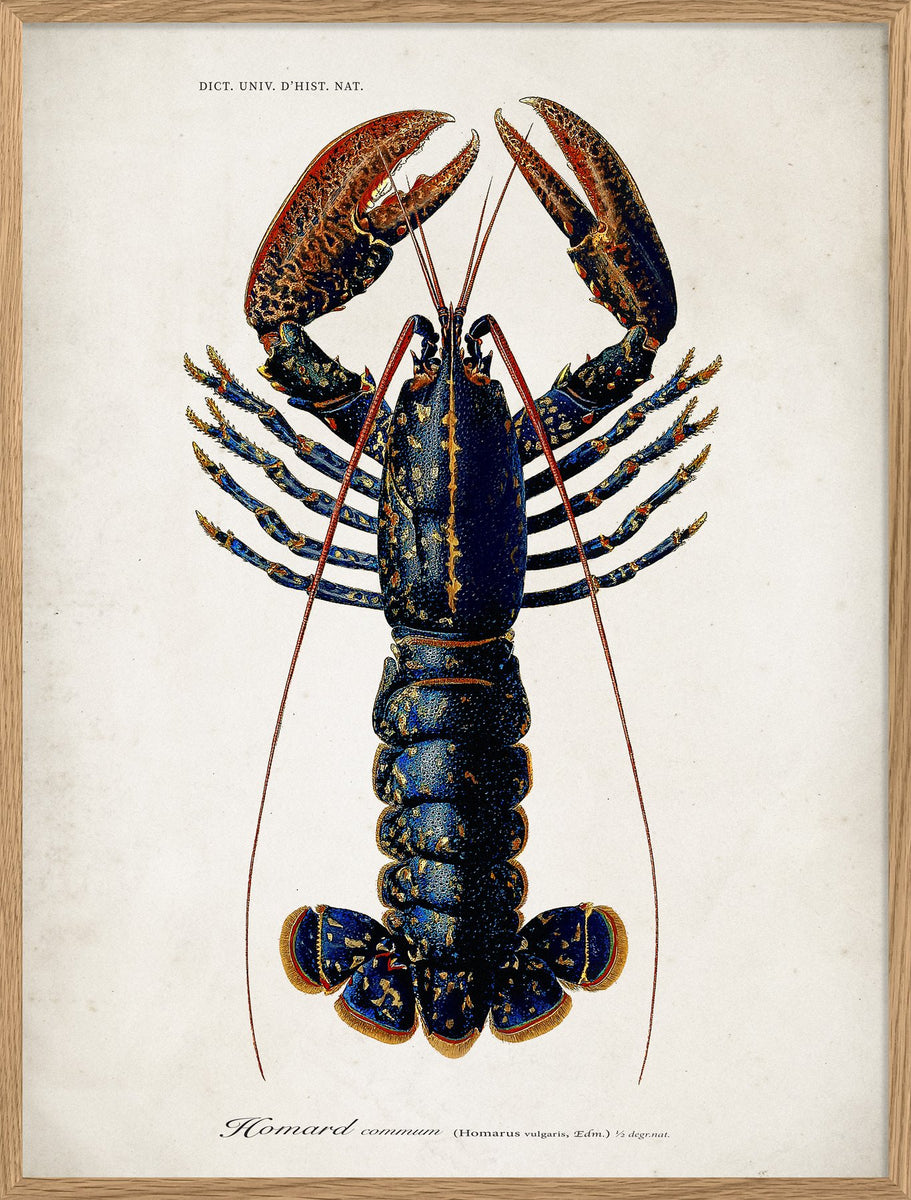 Poster Vintage De Homard Sur Toile - Impression Décorative Sans Cadre, 30 X 45 Cm - Pour Salon, Chambre, Cuisine - Style Rétro
