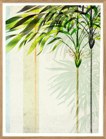 Affiche Botanical Composition II