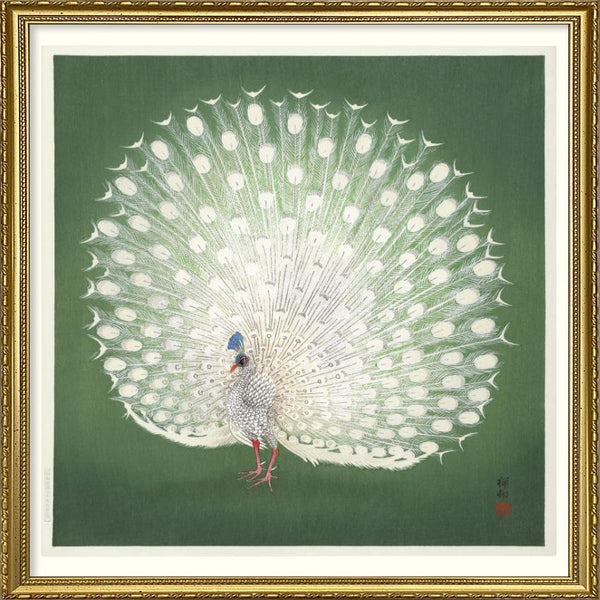 Affiche Peacock on Green