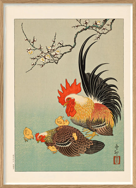 Affiche Rooster with Hen and Chicks