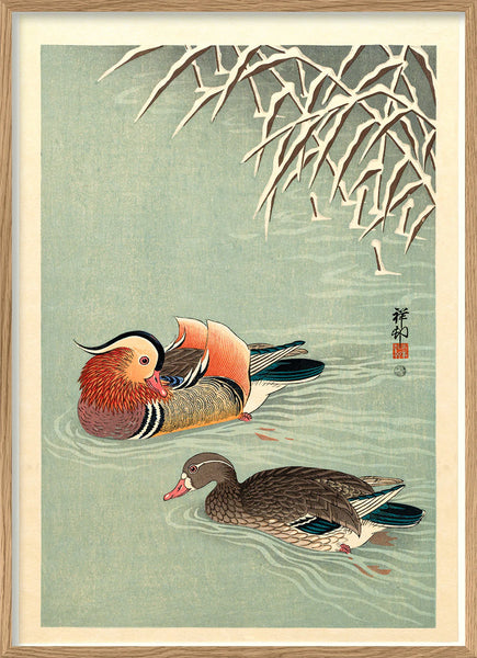 Affiche Mandarin Ducks