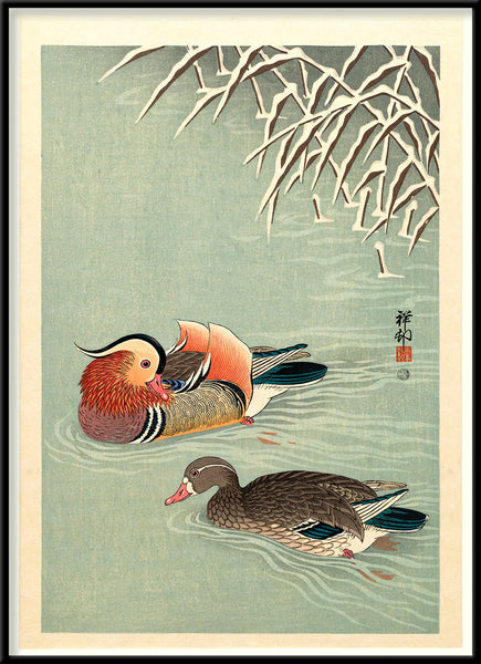 Affiche Mandarin Ducks