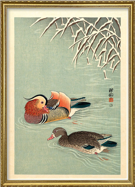 Affiche Mandarin Ducks