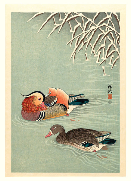 Affiche Mandarin Ducks