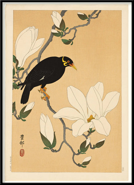 Affiche Myna Bird on Magnolia Branch