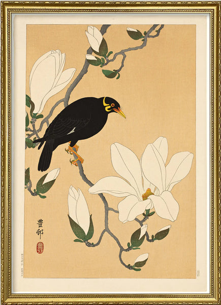 Affiche Myna Bird on Magnolia Branch