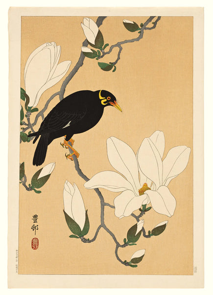 Affiche Myna Bird on Magnolia Branch