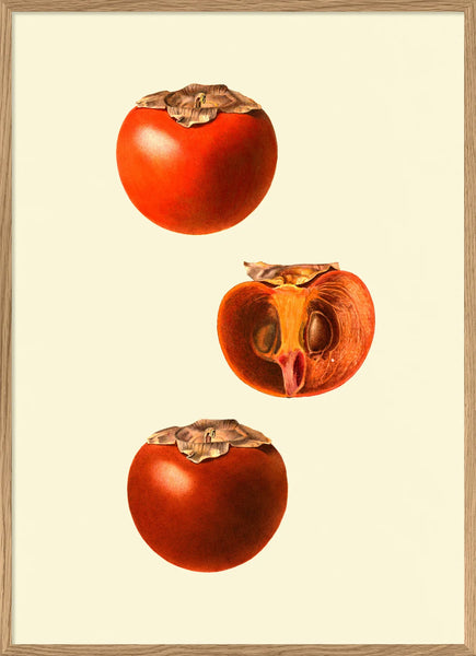 Affiche Kaki Sharon