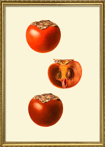 Affiche Kaki Sharon