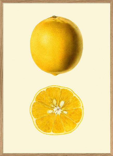Affiche Lemon