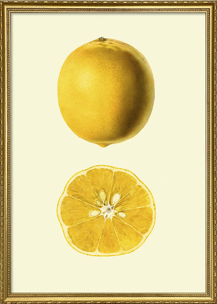 Affiche Lemon