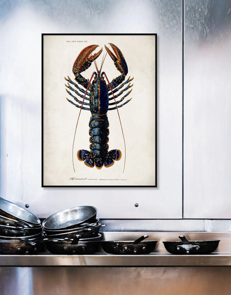 Affiche Homard