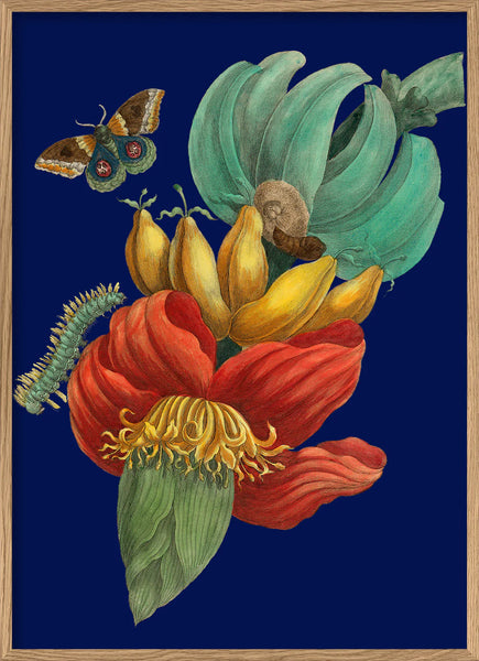 Affiche Banana Flower