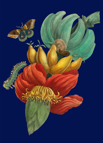 Affiche Banana Flower