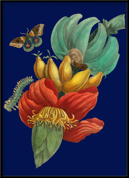 Affiche Banana Flower