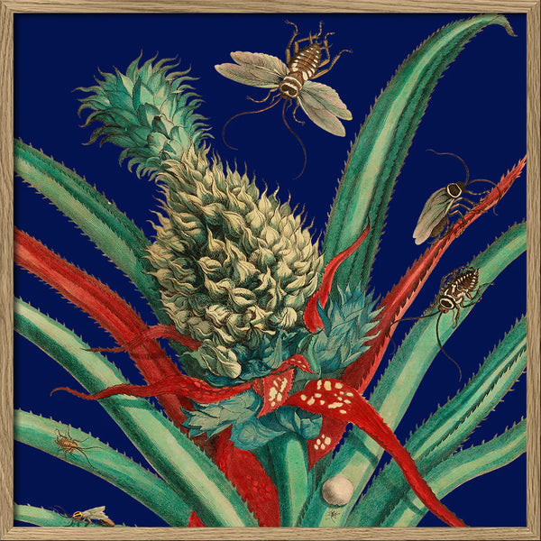 Affiche Pineapple Plant