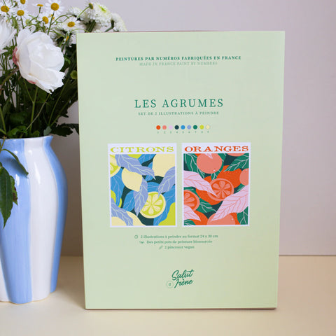 Coffret Peinture au Numéro Les Agrumes