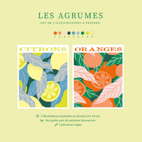 Coffret Peinture au Numéro Les Agrumes