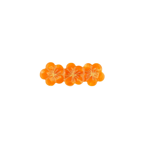 Barrette Capucine