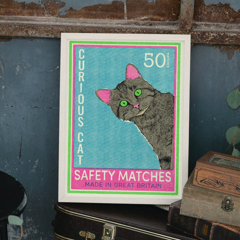 Affiche Curious Cat