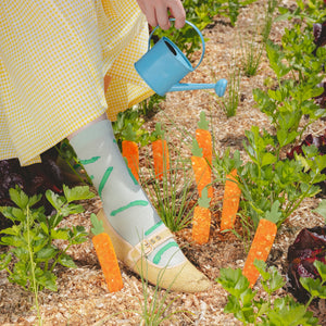 Chaussettes Asperge