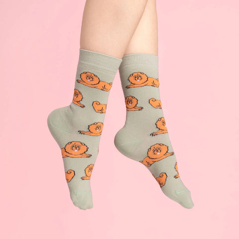 Chaussettes Chow Chow