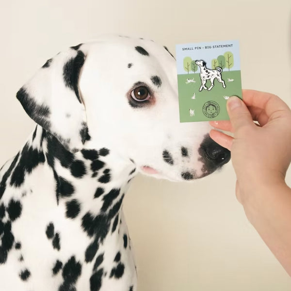 Pin's Dalmatien