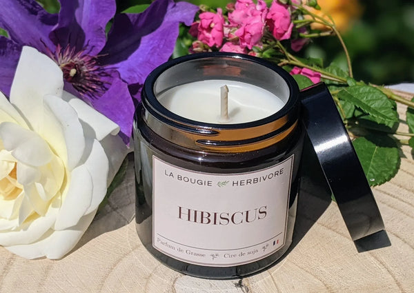 Bougie Hibiscus