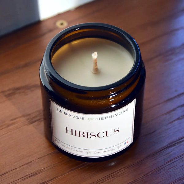 Bougie Hibiscus