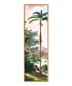 Cadre Jungle Scenery