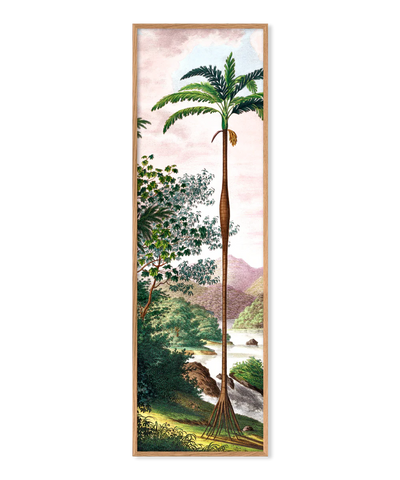 Cadre Jungle Scenery