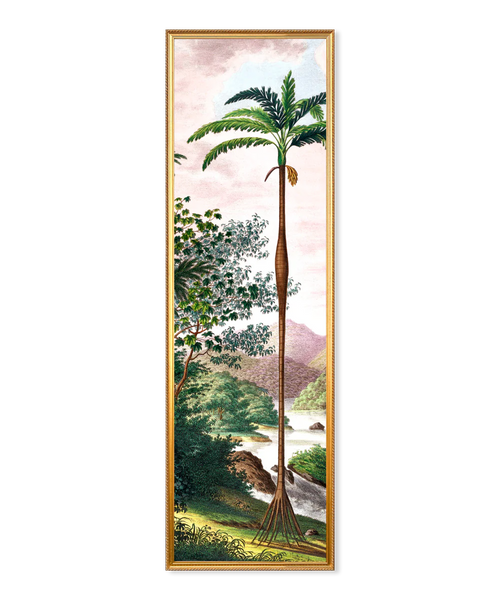 Cadre Jungle Scenery