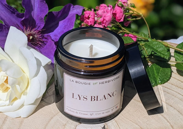 Bougie Lys Blanc