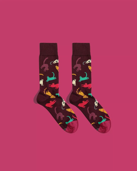 Chaussettes Chat