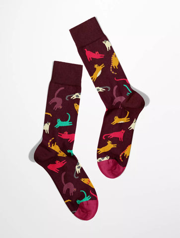 Chaussettes Chat