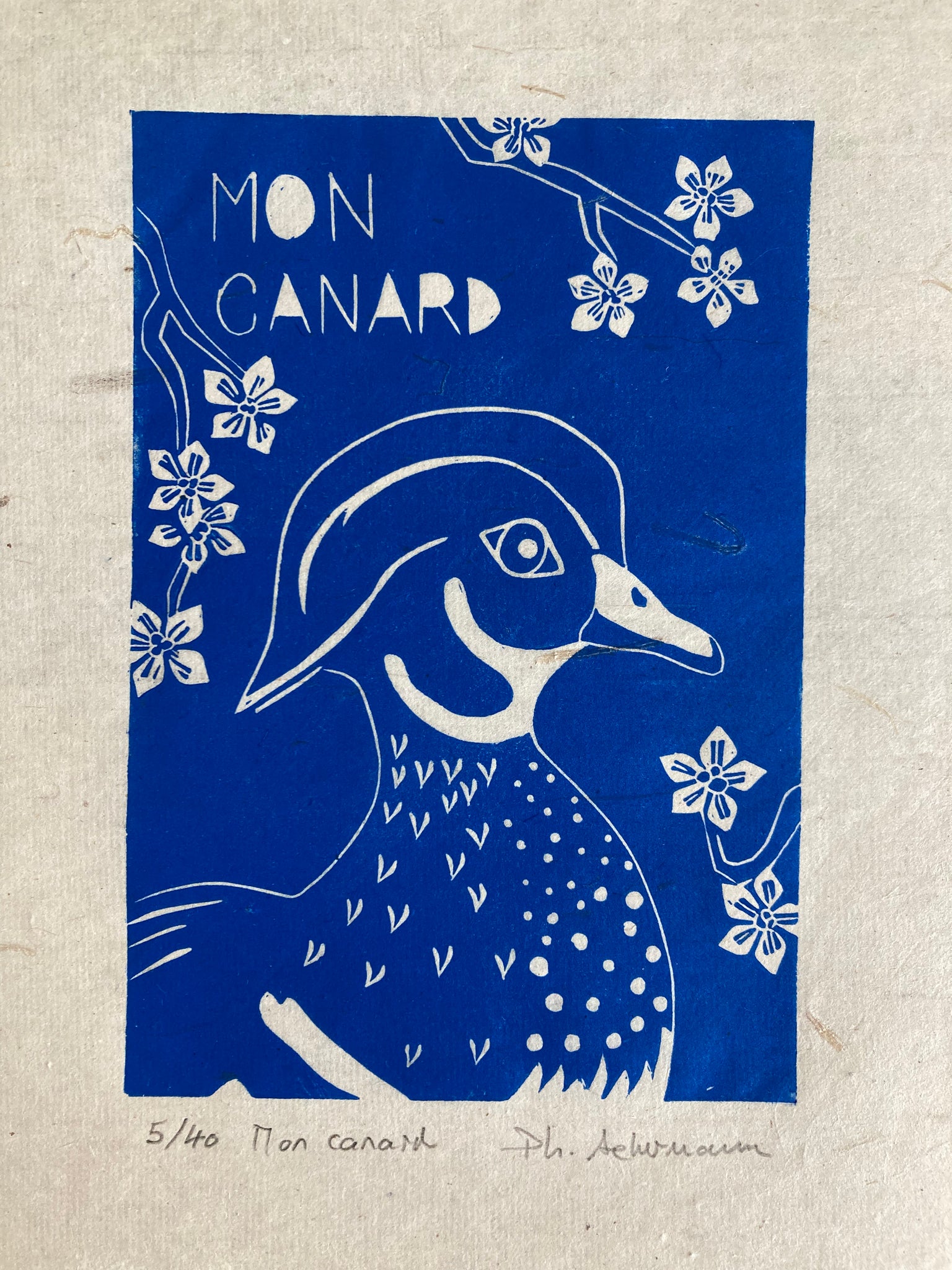 Gravure Mon Canard