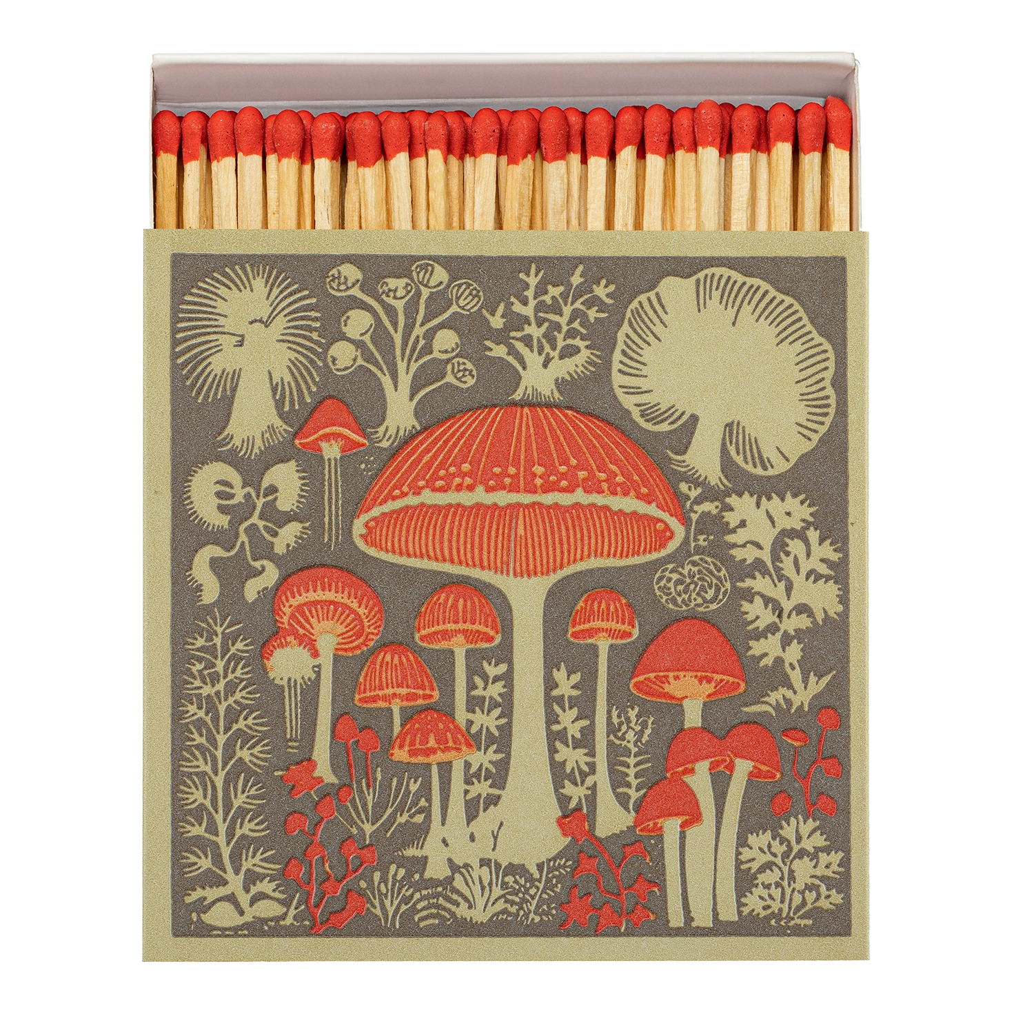 Boîte d'Allumettes Mushroom