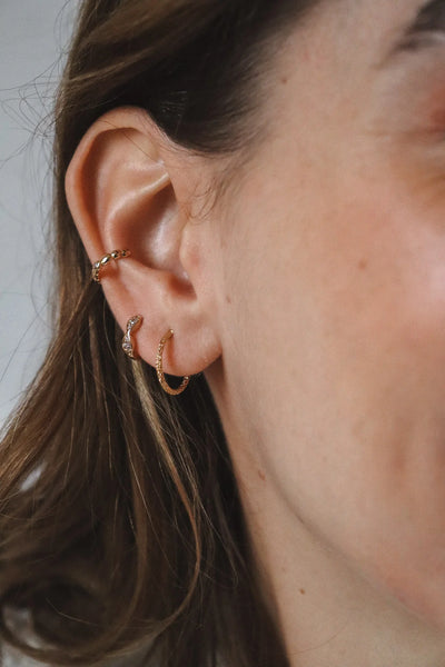 Boucles d'Oreilles Noé