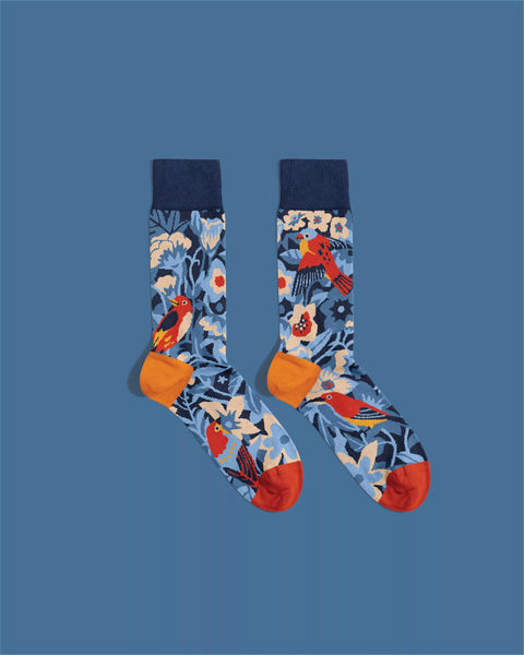 Chaussettes Oiseaux