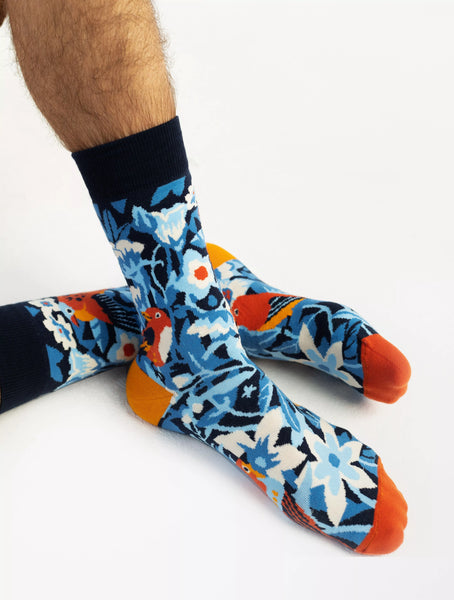 Chaussettes Oiseaux