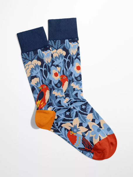 Chaussettes Oiseaux