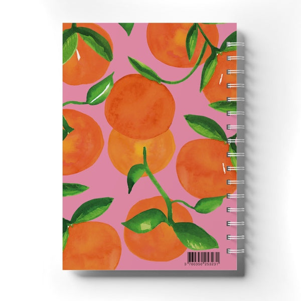 Cahier de Recettes Oranges