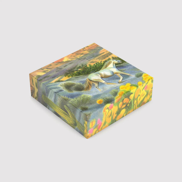 Puzzle Arizona - Laura Ottone